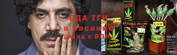 хмурый Аркадак