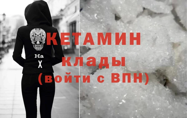 хмурый Аркадак