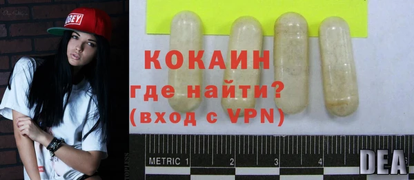 хмурый Аркадак