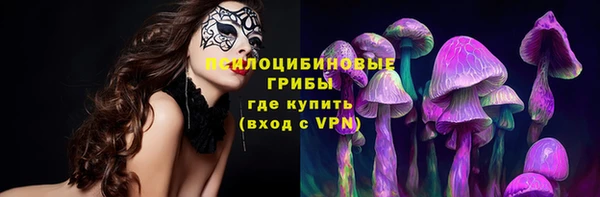 стаф Армянск