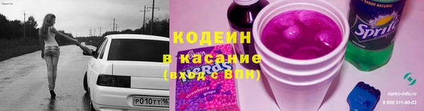 хмурый Аркадак