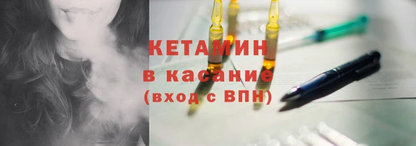 хмурый Аркадак