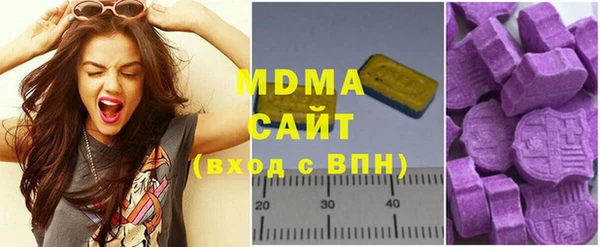 хмурый Аркадак