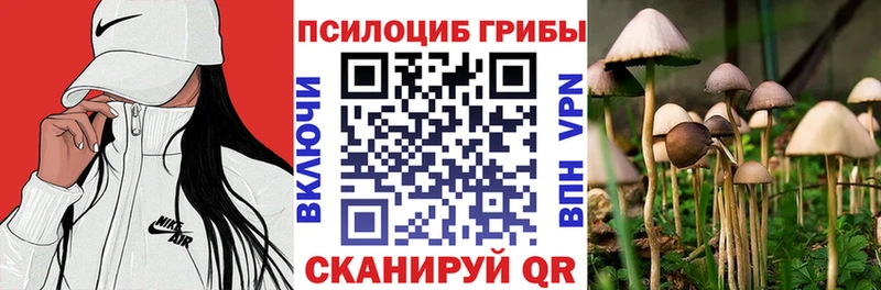 Псилоцибиновые грибы ЛСД  Черноголовка 